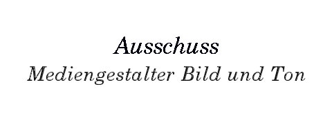 Ausschuss